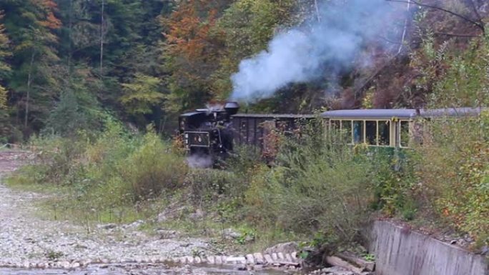 沿着森林山谷运行的蒸汽机