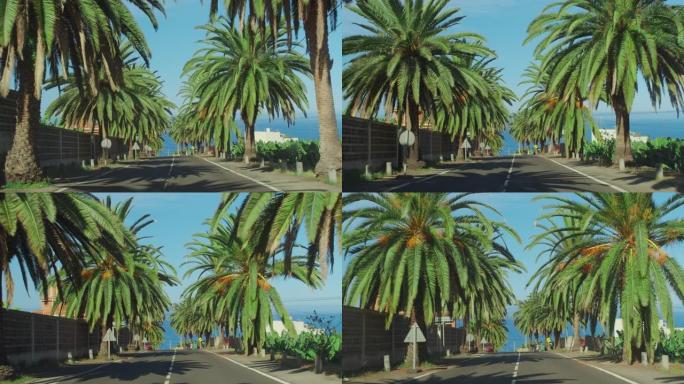 棕榈树从蓝天旁经过。开车穿过阳光明媚的贝弗利山。加利福尼亚州洛杉矶