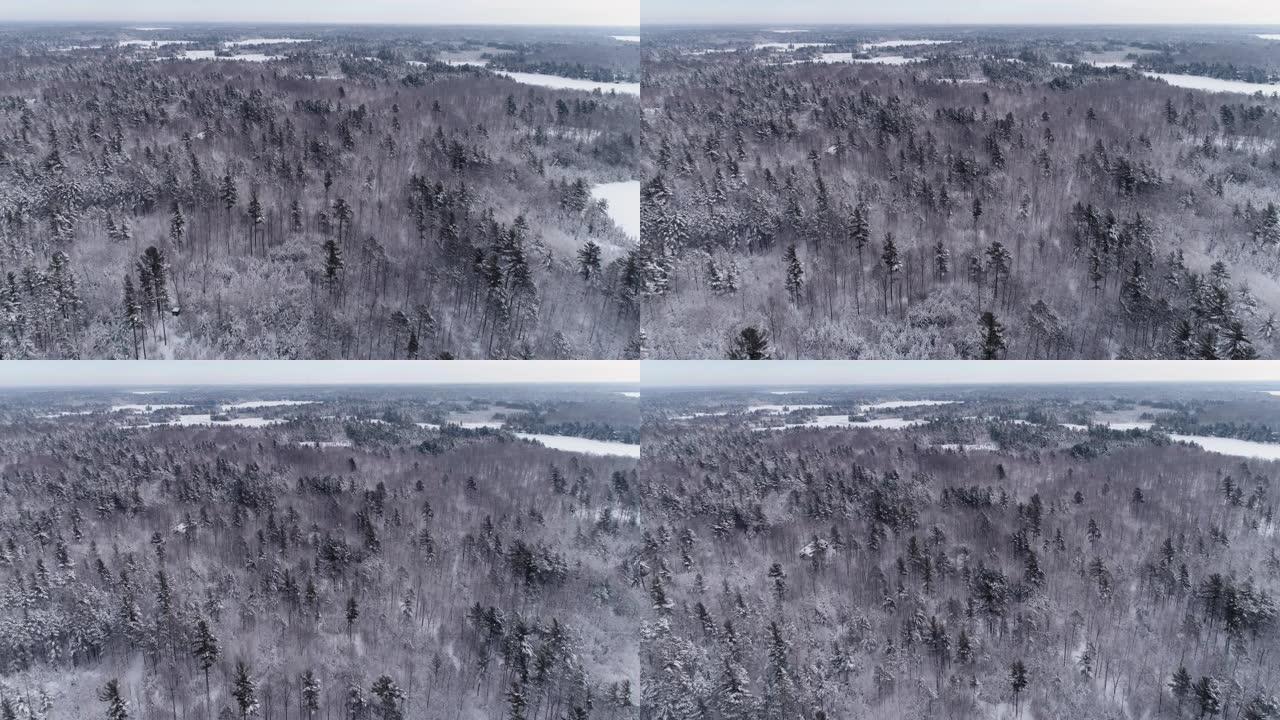 林木和被新鲜雪覆盖的湖泊上方的高角度天线