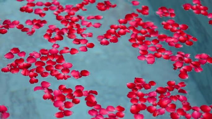 浴缸装饰室内的水上红玫瑰花。