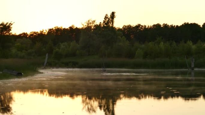 黎明时分，水蒸气在池塘中缓慢移动，鸟鸣声