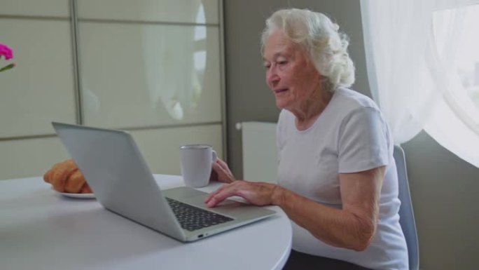 老妇人用笔记本电脑。