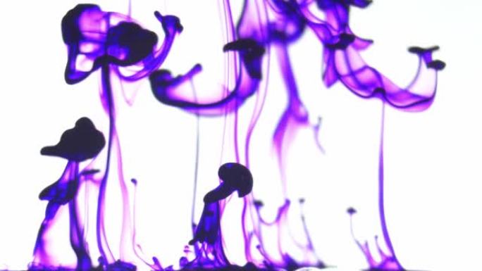白色背景上的紫色墨水染料在水中流动