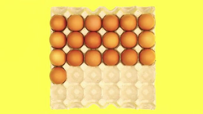 鸡蛋从黄色背景的纸板箱中出现和消失-停止运动