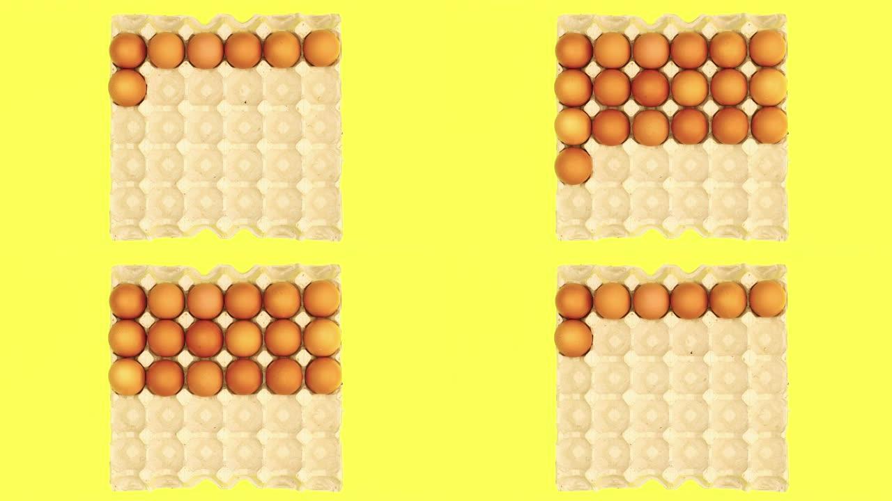 鸡蛋从黄色背景的纸板箱中出现和消失-停止运动