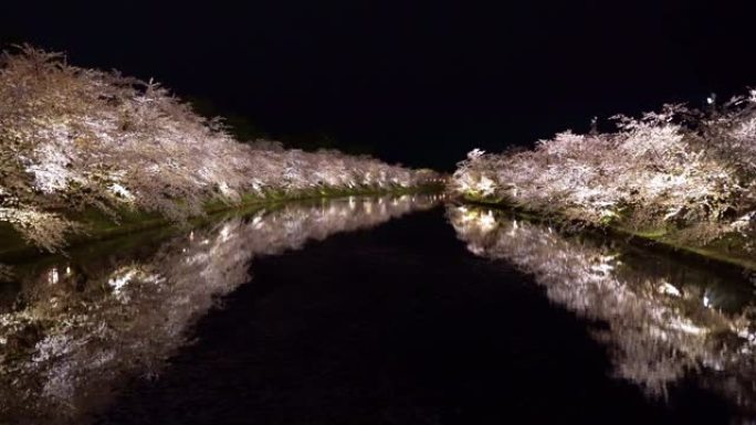 弘前公园樱花在夜晚点亮