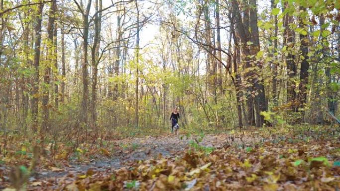 运动女孩canssing与美国斯塔福德郡梗在秋天的森林