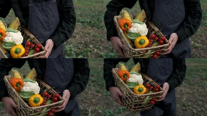 农民拿着一盒新鲜采摘的有机蔬菜