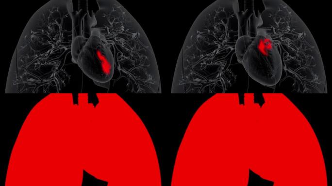 心脏接受来自肺的含氧血液