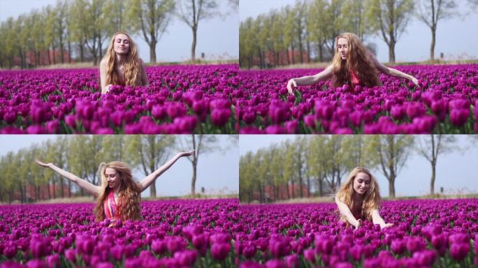 女孩拿着花束五颜六色的郁金香花，站在紫色的郁金香田里。