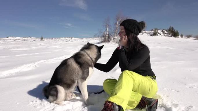 美丽的西伯利亚哈士奇和他的主人在雪地里玩耍