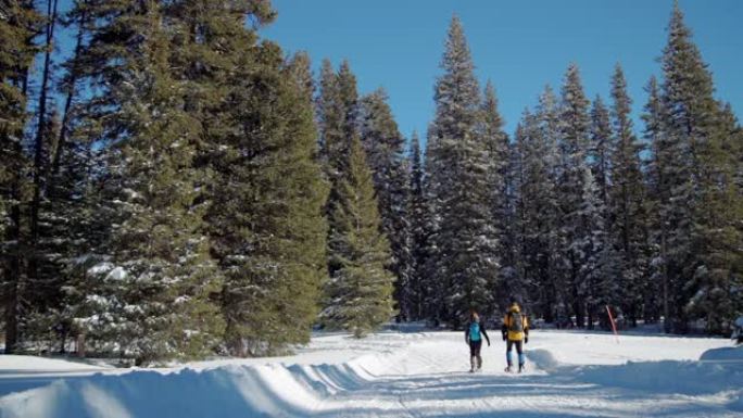 成年徒步旅行者的远摄视图雪鞋在雪地里的整洁小径上一起行走，并带有复制空间