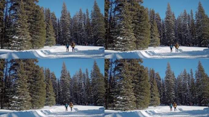 成年徒步旅行者的远摄视图雪鞋在雪地里的整洁小径上一起行走，并带有复制空间