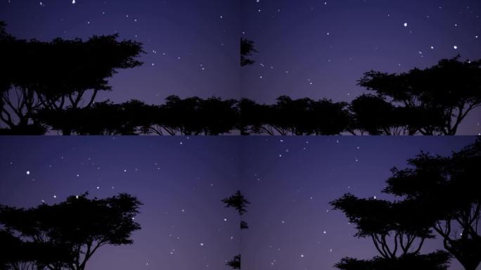 蓝色背景上美丽风格的星星映衬着黑色轮廓树。旅游背景。天堂森林。深蓝色背景。夏日海滩。4k