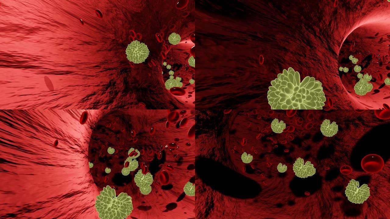 模拟病毒、细菌和动脉或血管中的红细胞