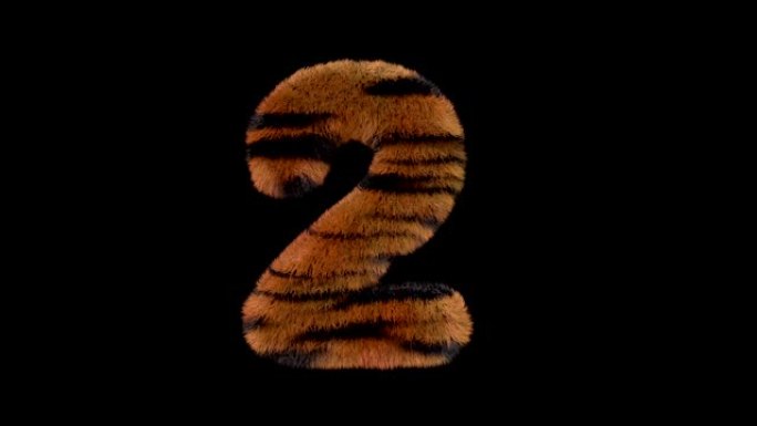 动画毛茸茸的动物园老虎文字字体2