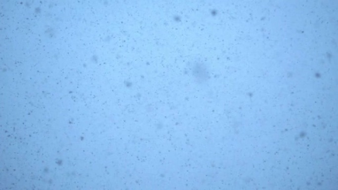 暴风雨天空上的降雪。白雪皑皑的背景。阴暗的天空