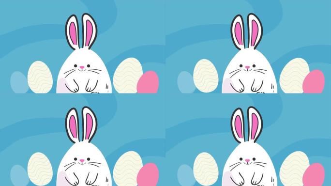 动画复活节主题背景。白色蛋形横幅，蓝色背景上有可爱的兔子耳朵，白色雏菊。