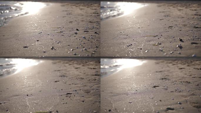 日落时分，西班牙有绿色海藻石和贝壳的海岸，慢动作