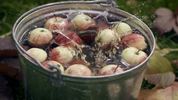 装满水的桶中的红色成熟苹果