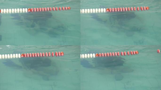 两名潜水员在游泳池接受训练。在游泳池学习水肺潜水。潜水员学会固定并从水中清除物体。