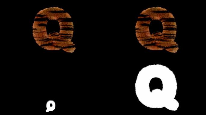 动画毛茸茸的动物园老虎文字字体Q