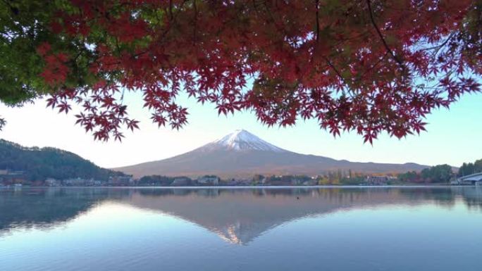 山梨县藤川口湖附近的五颜六色的秋天有红枫叶或秋天的富士山。五个湖。蓝天的日本树木。自然景观背景