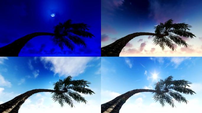 星空满月的棕榈树剪影，昼夜延时，4K