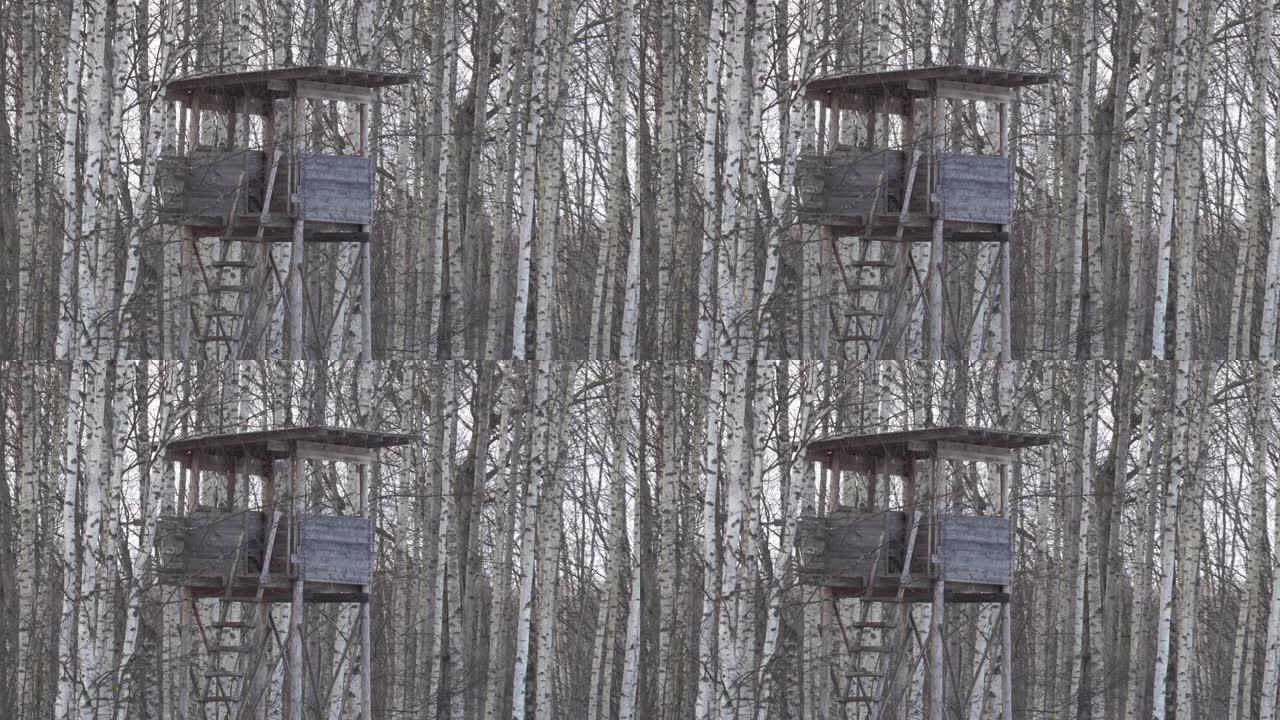 爱沙尼亚用于狩猎的木制瞭望塔