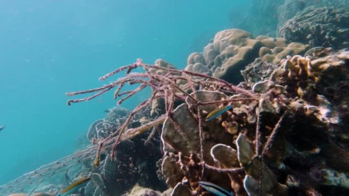 环境生态灭绝灾难幽灵网商业渔网对水下珊瑚礁的污染
