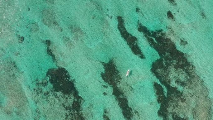 站在高空拍摄的热带珊瑚礁上站立桨板