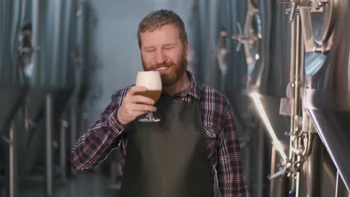 肖像。开朗的男性啤酒酿造商品尝新鲜酿造的啤酒，以品尝在啤酒厂中站在胡须上留下泡沫的味道