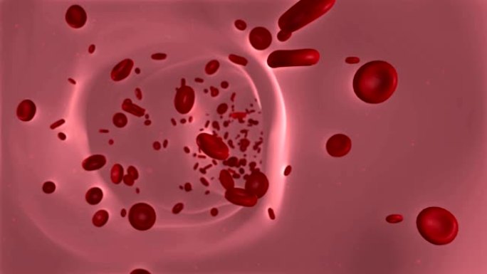 血管中的红细胞。专注于正面。