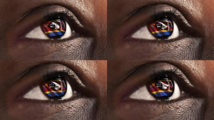 女子黑眼睛在近距离与旗帜斯威士兰鸢尾与风的运动。视频的概念