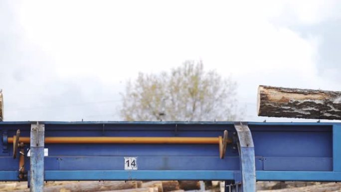 自动日志排序行。轮式装载机和锯木厂的自动分拣原木直径。木材工业。