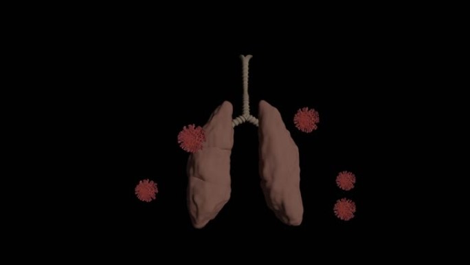 肺和电晕病毒或新型冠状病毒肺炎，3D渲染