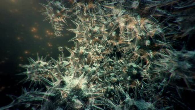 病毒，颗粒物水中细菌显微镜