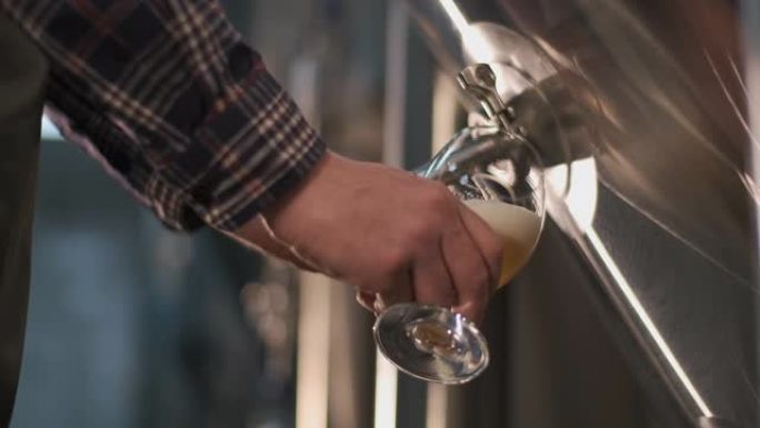一位男性酿酒师将啤酒从啤酒罐中倒入玻璃杯中品尝。特写