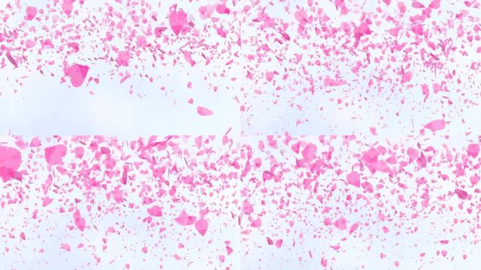 百万粉红樱花树叶漂浮飞翔在空中浅蓝色的天空背景