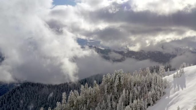 在多云的天空背景下，高山低地的雪松杉树令人惊叹。山谷无人驾驶飞机视野中薄雾笼罩的光辉冬季森林。白雪皑