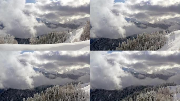 在多云的天空背景下，高山低地的雪松杉树令人惊叹。山谷无人驾驶飞机视野中薄雾笼罩的光辉冬季森林。白雪皑