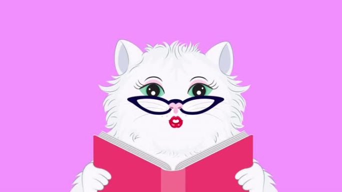 考特卡通猫阅读书。粉红色背景上的动画。