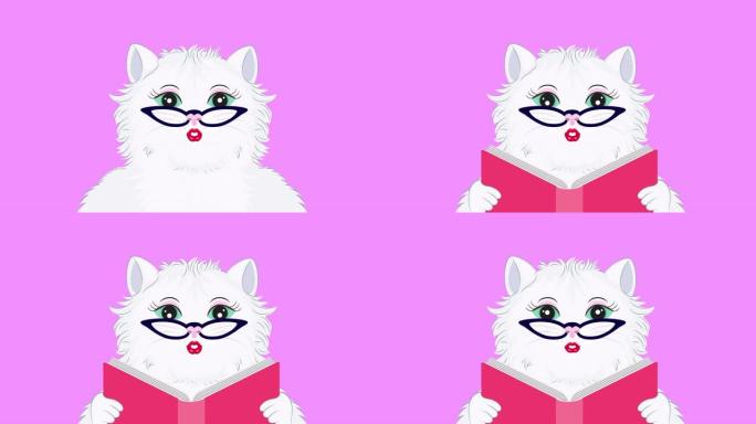 考特卡通猫阅读书。粉红色背景上的动画。