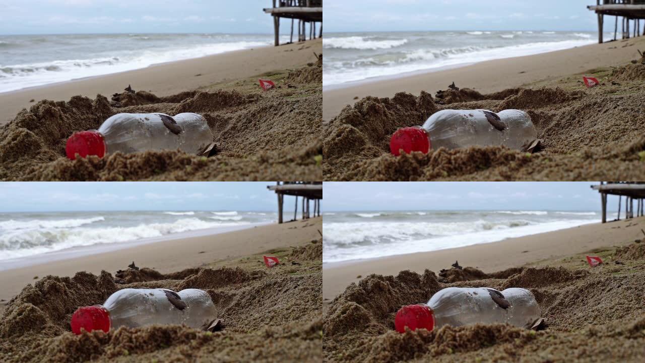 海滩上丢弃的可乐塑料瓶污染