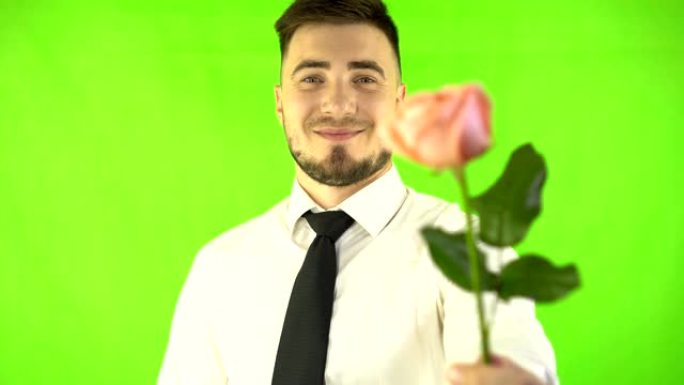 穿着白衬衫和领带的英俊男子微笑着在绿屏背景上呈现一朵玫瑰。有花的绅士