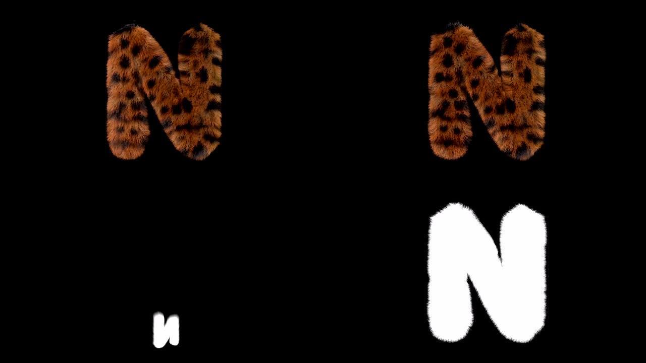 豹子毛茸茸的动画毛茸茸的字母N