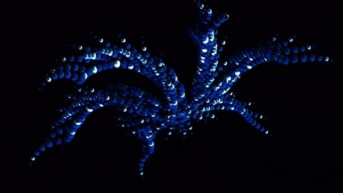 抽象五彩斑斓的鱼形图形由黑色背景上移动的小聚集球体形成，无缝循环。动画。蓝色圆圈快速移动
