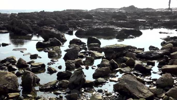 南加州多岩石的太平洋海岸线上的潮汐池