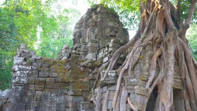 柬埔寨暹粒吴哥窟建筑群的塔索姆寺古遗址。石庙门废墟与丛林树空中根。