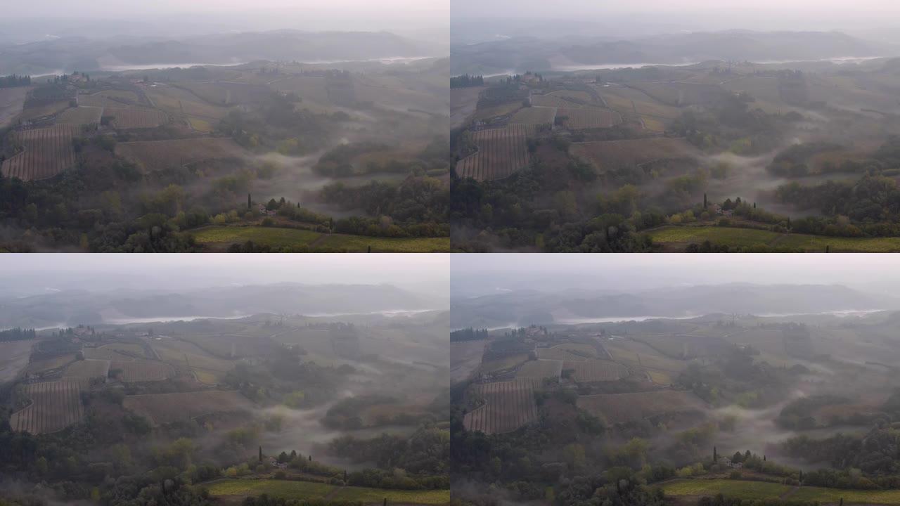 意大利。托斯卡纳。阳光明媚的清晨。田野，农舍和葡萄园上的浓雾